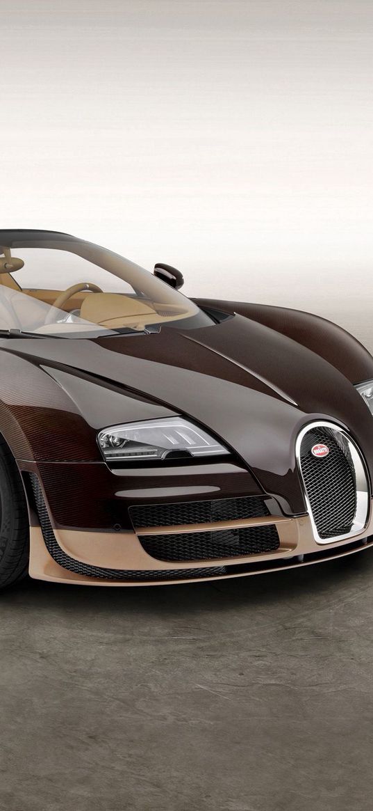 bugatti rembrandt, grand sport vitesse bugatti veyron, bugatti veyron