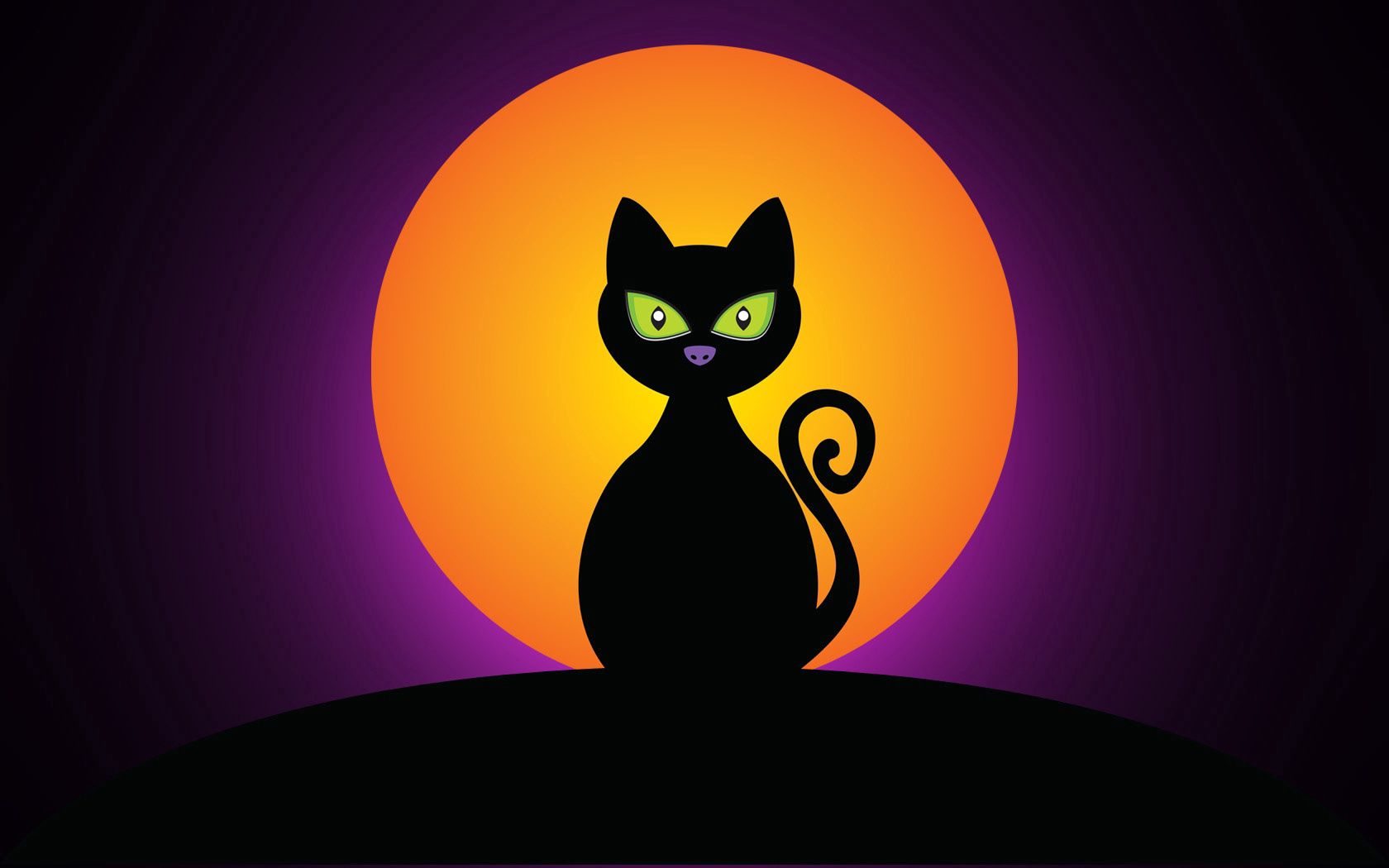 cat, black, halloween, moon, silhouette