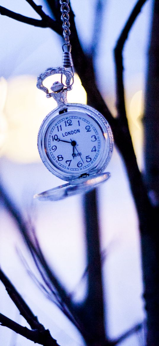 watches, branches, winter, pocket watch