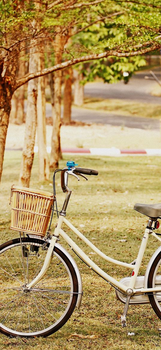 bicycle, park, balloons, grass