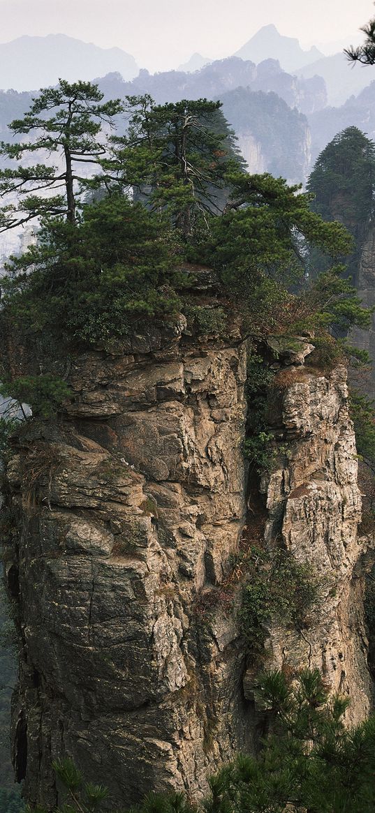 rocks, mountains, trees, tops, vegetation, fog, coniferous, height