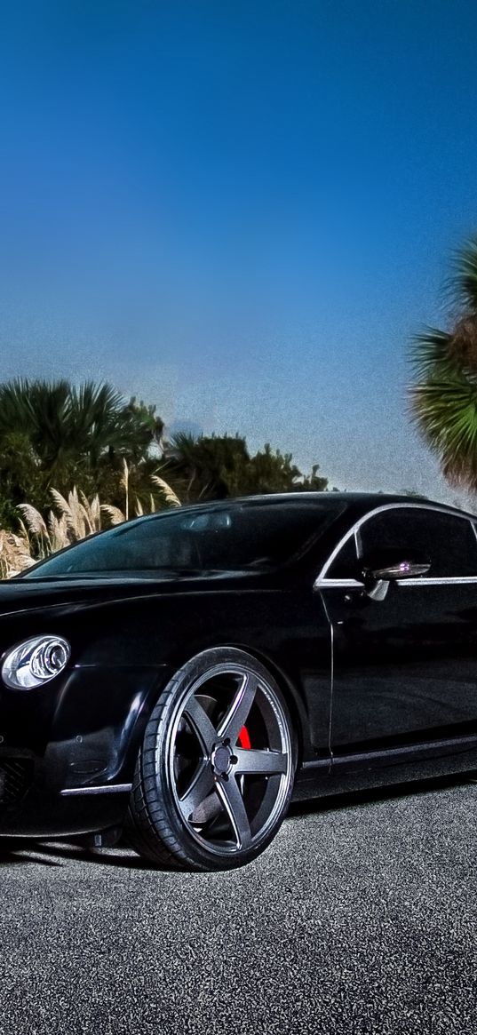 bentley, continental gt, black, side view