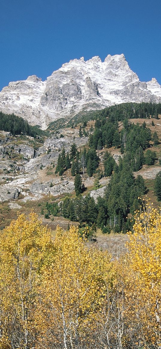 mountains, rocks, stones, trees, autumn, lifting