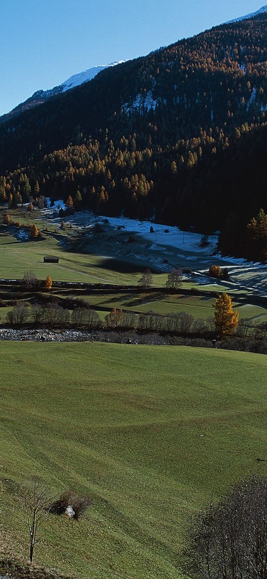 mountains, trees, tops, slopes, meadows, road, snow