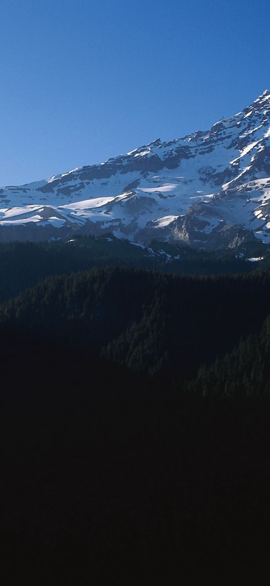 mountains, trees, top, peak, snow