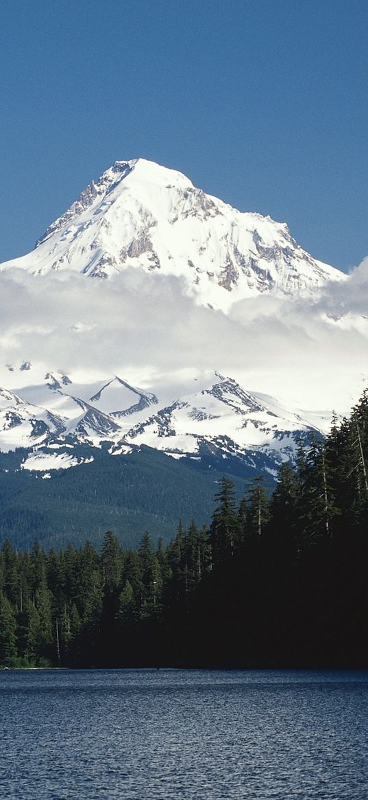 mountains, trees, top, peak, snow, fur-trees, clouds