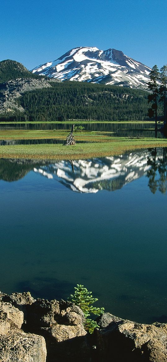 mountains, trees, top, snow, fur-trees, islet, grass, river