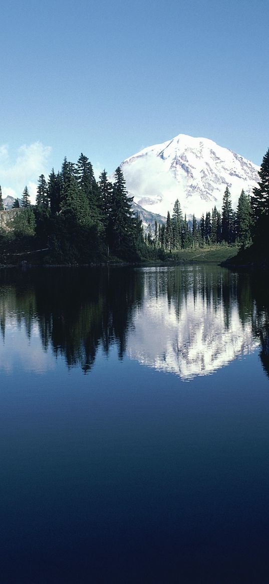 mountain, trees, top, snow, fur-trees, reflection, shade, river