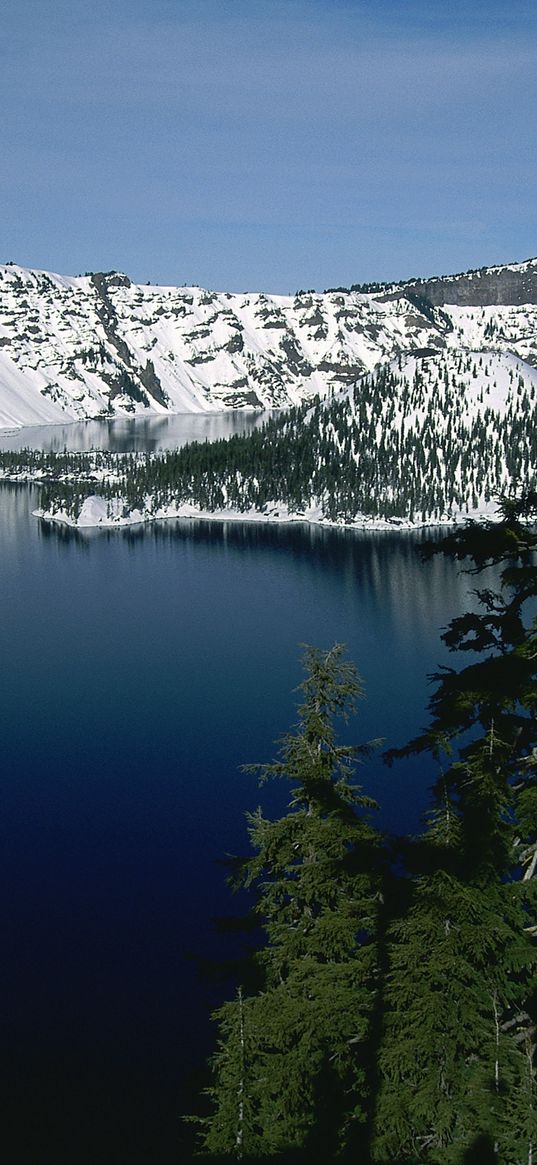 mountains, trees, snow, fur-trees, islet, winter, river