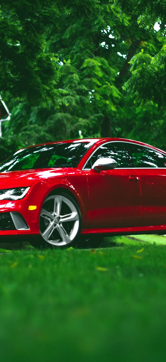 audi, rs7, red, grass, side view