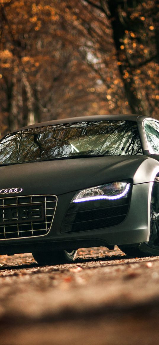 audi, r8, v10, sports car