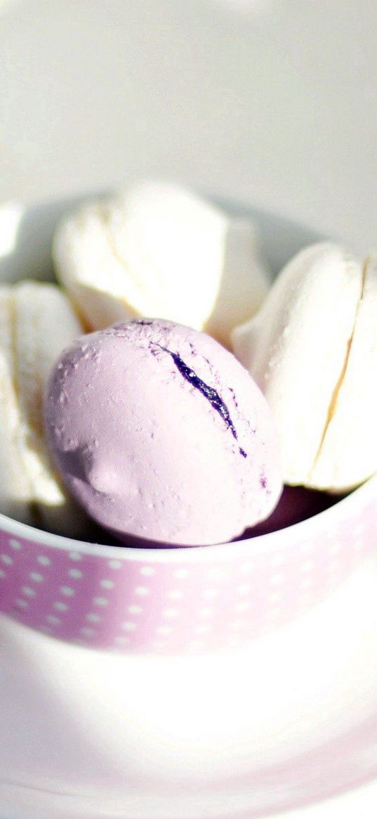 macaroon, cup, sweets, plate