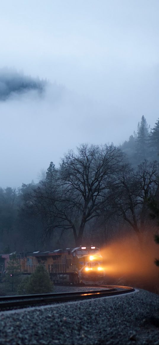 train, fog, railroad, light, trees