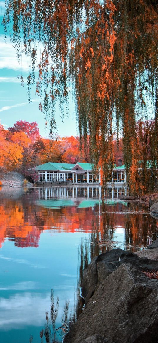 central park, new york, autumn, beautiful landscape