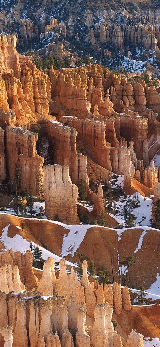 canyons, snow, trees, winter, yellow, white