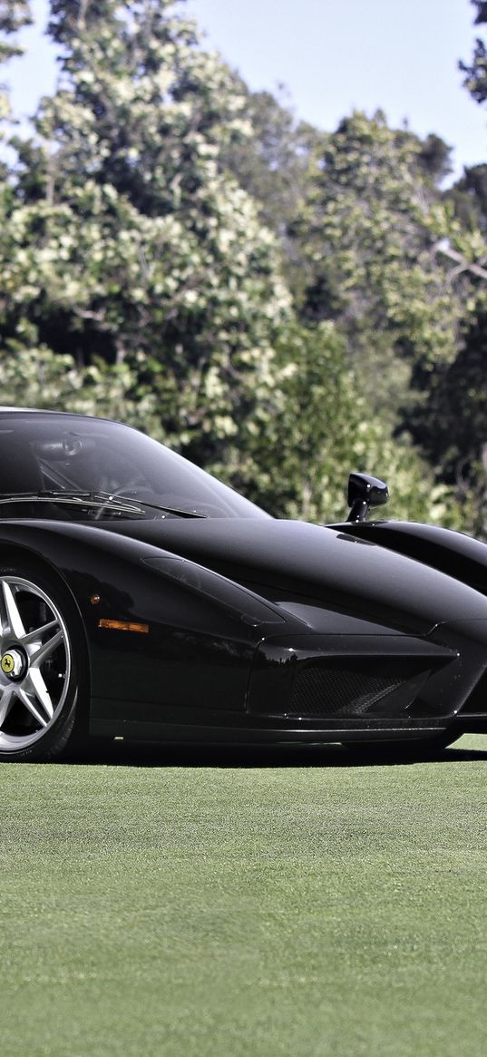 ferrari, enzo, black, side view