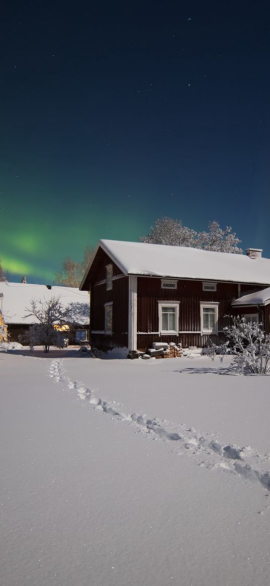 northern lights, winter, snow, house, trees