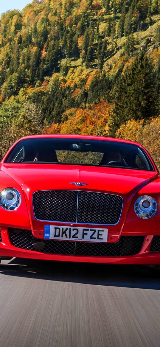 bentley, continental, gt, red, front view, movement, speed, road