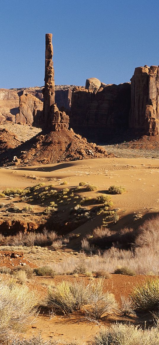 canyons, vegetation, sand, walls