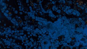 Preview wallpaper abstraction, blue, liquid, stains