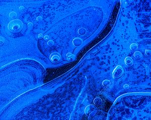 Preview wallpaper abstraction, circle, spots, bubble