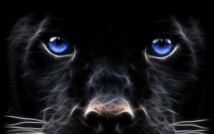 Preview wallpaper abstraction, dog, black, blue, face