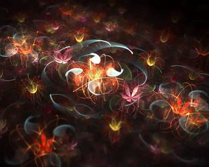 Preview wallpaper abstraction, flowering, light, flower, fractal