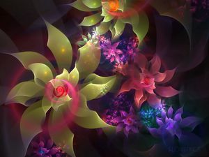 Preview wallpaper abstraction, flowering, multicolored