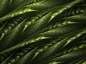 Preview wallpaper abstraction, green, tangled, structure, fractal