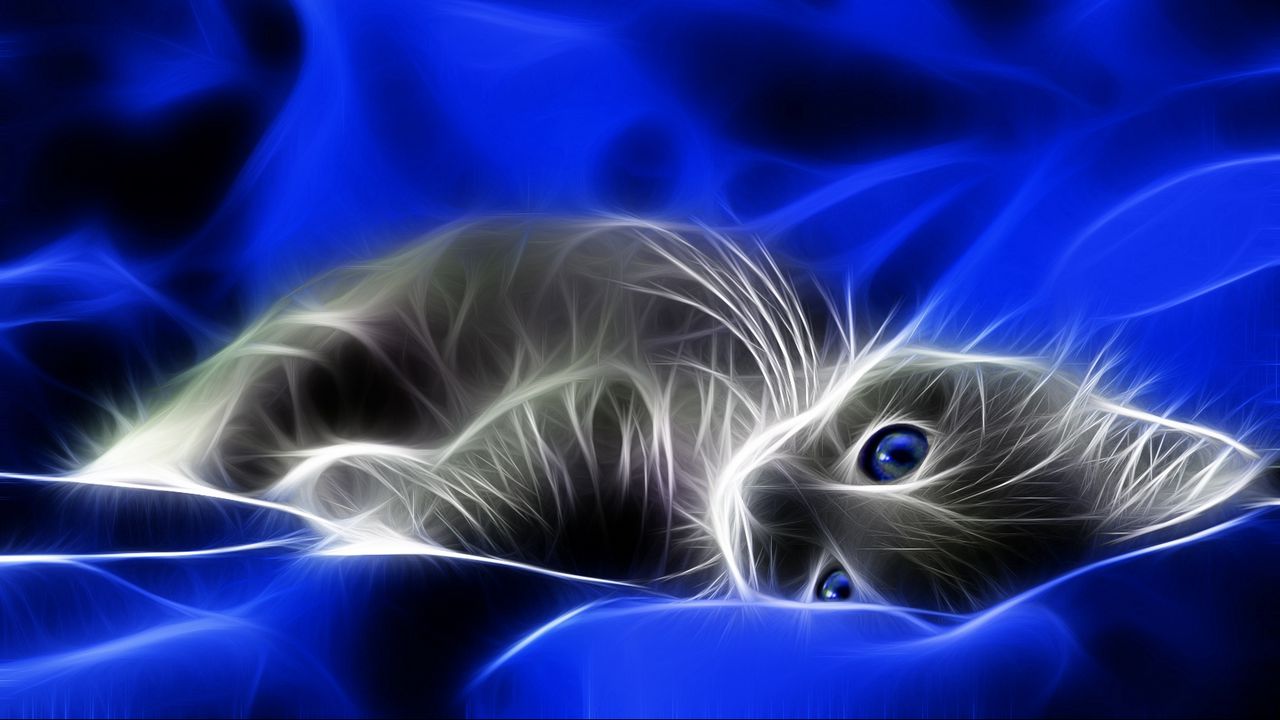 Wallpaper abstraction, kitten, blue, gray, bed