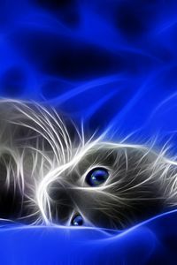 Preview wallpaper abstraction, kitten, blue, gray, bed