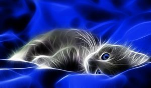 Preview wallpaper abstraction, kitten, blue, gray, bed