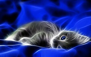 Preview wallpaper abstraction, kitten, blue, gray, bed