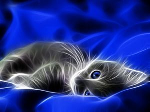 Preview wallpaper abstraction, kitten, blue, gray, bed