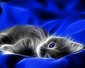 Preview wallpaper abstraction, kitten, blue, gray, bed