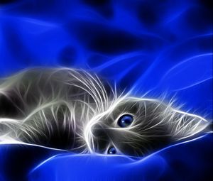 Preview wallpaper abstraction, kitten, blue, gray, bed