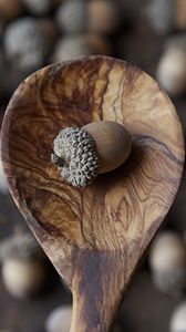Preview wallpaper acorn, nut, spoon, brown, macro