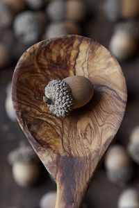 Preview wallpaper acorn, nut, spoon, brown, macro