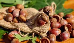 Preview wallpaper acorns, bag, nuts