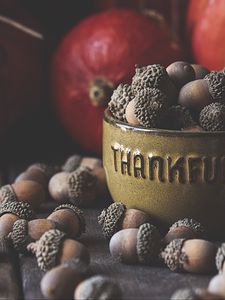 Preview wallpaper acorns, bowl, fruit, brown