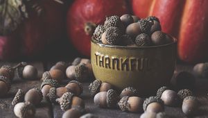 Preview wallpaper acorns, bowl, fruit, brown