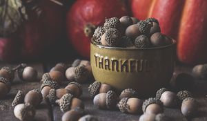 Preview wallpaper acorns, bowl, fruit, brown