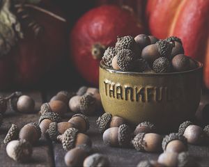 Preview wallpaper acorns, bowl, fruit, brown