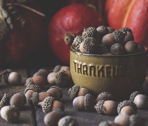 Preview wallpaper acorns, bowl, fruit, brown