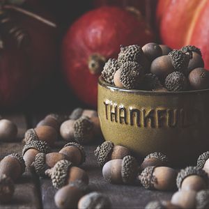 Preview wallpaper acorns, bowl, fruit, brown