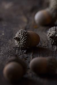 Preview wallpaper acorns, macro, brown