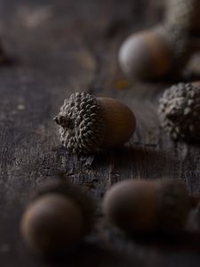 Preview wallpaper acorns, macro, brown