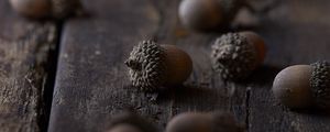 Preview wallpaper acorns, macro, brown