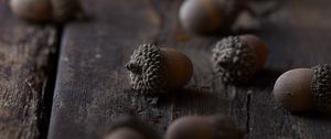 Preview wallpaper acorns, macro, brown