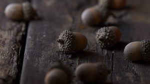 Preview wallpaper acorns, macro, brown